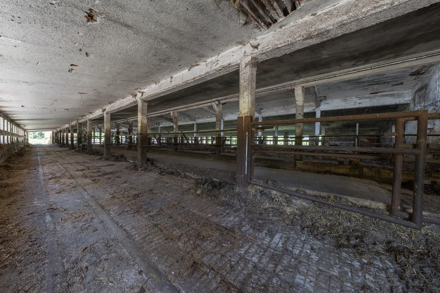 Prodej zemědělského objektu 1 400 m² — photo 4