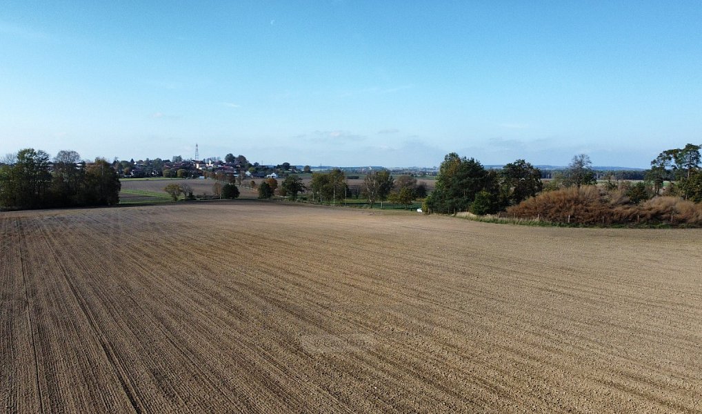 Prodej pole 49 992 m², Řípec – náhled fotky 7