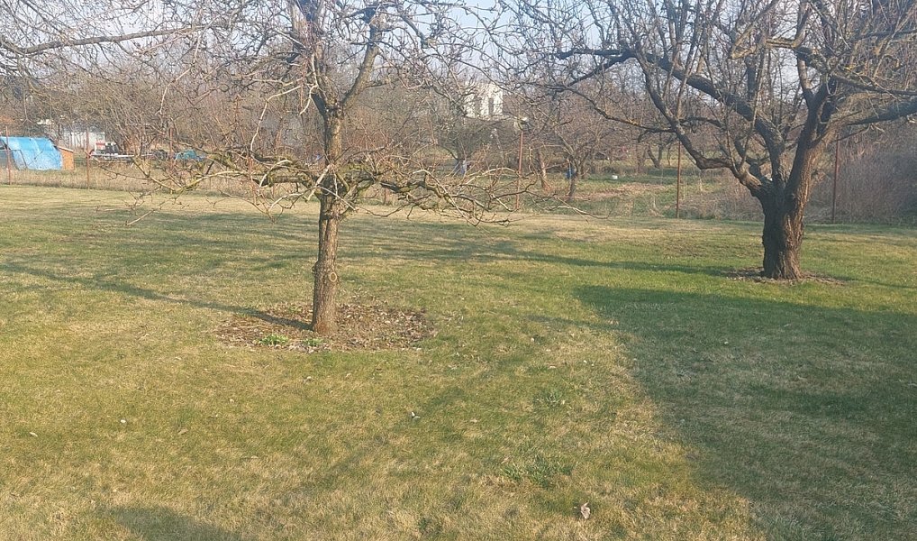 Prodej zahrady 1 080 m², Olomouc – náhled fotky 7