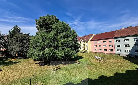 Pronájem bytu 2+1 50 m², Šumavská, Karlovy Vary