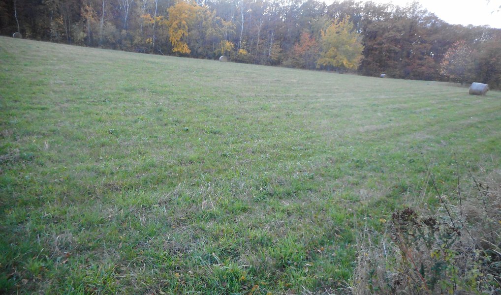 Prodej louky 9 483 m², Polepy – náhled fotky 9