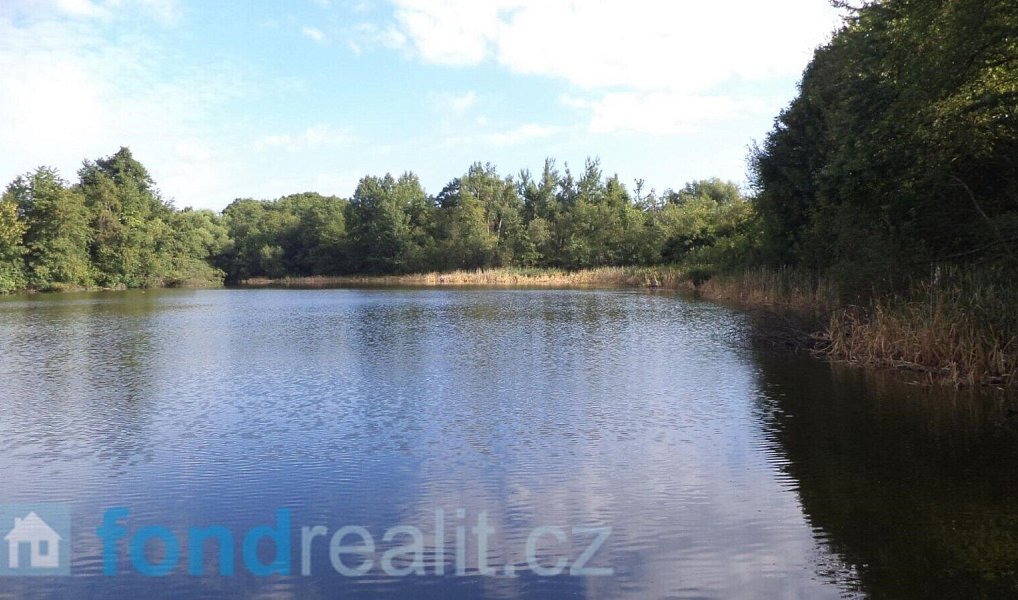 Prodej pozemku 1 919 m², Slavonice – náhled fotky 7