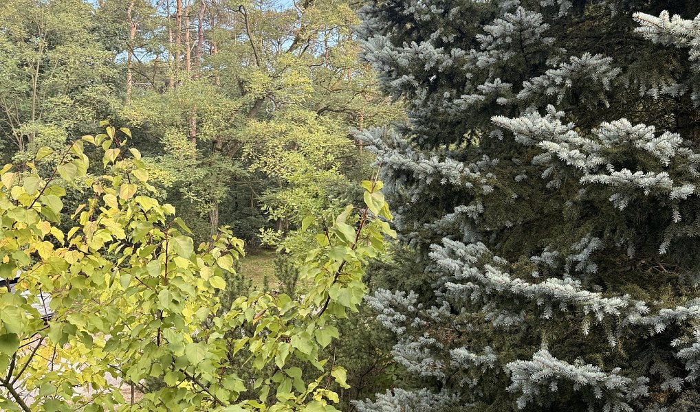 Prodej chaty/chalupy 180 m² s pozemkem 1 287 m², Račice – náhled fotky 20