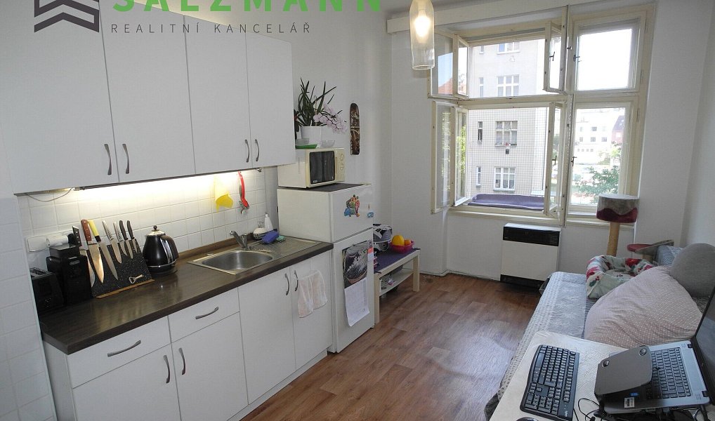 Prodej bytu 2+kk 42 m², Plzeň – náhled fotky 3