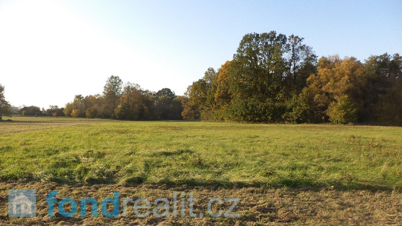 Prodej pozemku 6 981 m² – fotografie 2