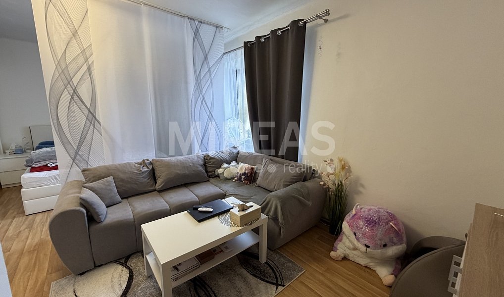 Pronájem bytu 2+1 62 m², Velké Všelisy – náhled fotky 3