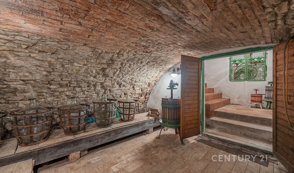 Vinný sklep 83m2, pozemky 8.420m2, Blatnice pod Svatým Antonínkem, Blatnice pod Svatým Antonínkem – náhled fotky 18