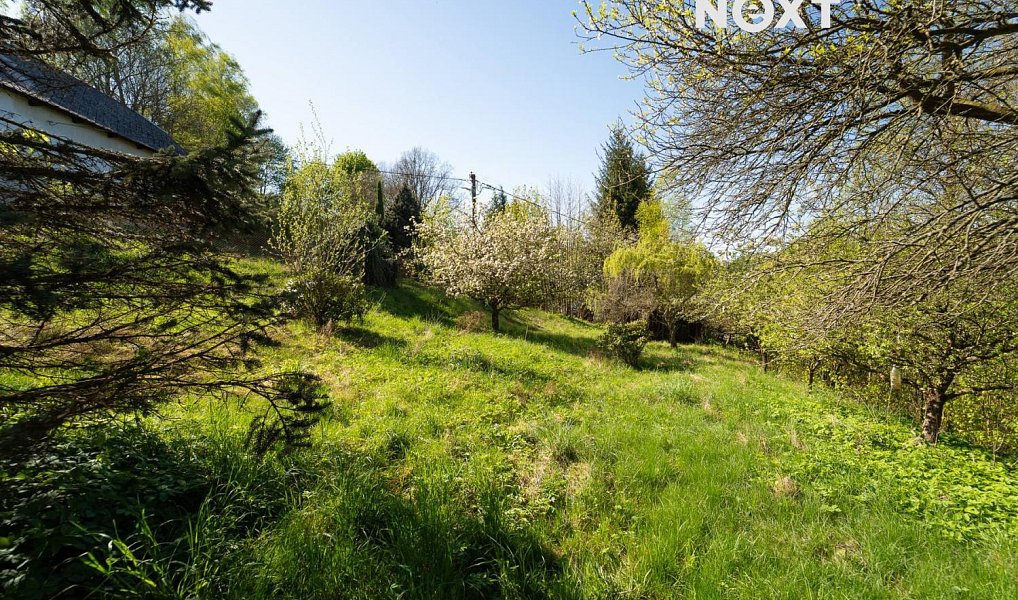 Prodej stavebního pozemku 1 928 m², Rybník – náhled fotky 9