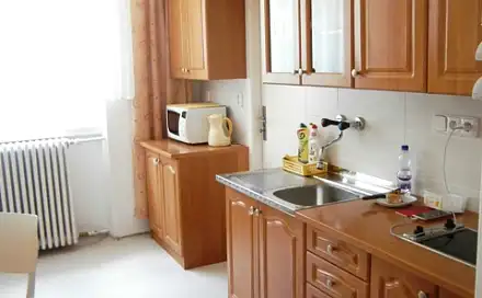 Pronájem bytu 1+1 55 m², Farní, Hranice, okres Přerov