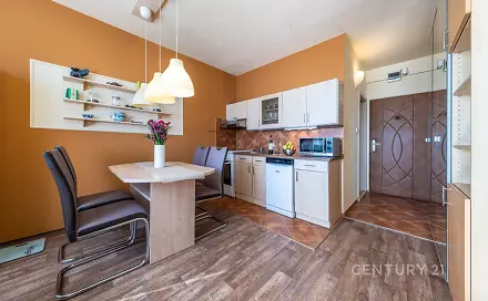 Prodej bytu 1+1 36 m², J. Opletala, České Budějovice - České Budějovice 2