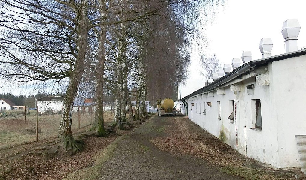 Prodej zemědělského objektu 2 000 m², Majdalena – náhled fotky 28