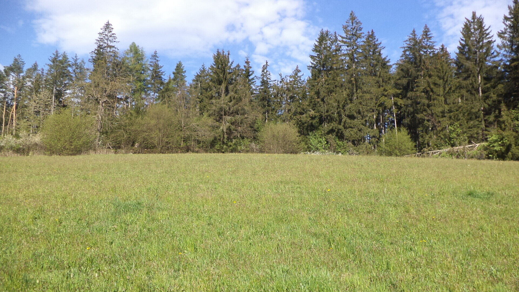 Prodej pole 9 910 m² – fotografie 2