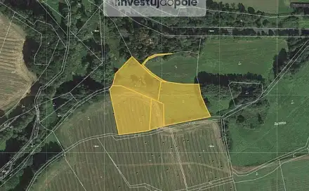 Prodej louky 14 063 m², Životice, okres Plzeň-Jih