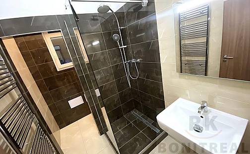 Pronájem bytu 1+1 50 m², Olomoucká, Brno - Černovice