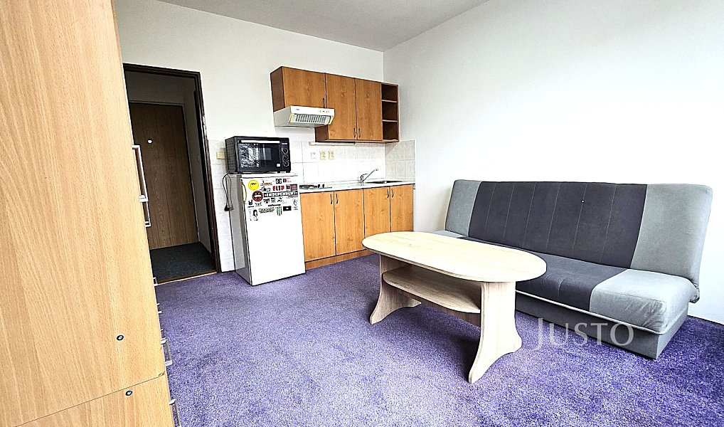 Pronájem bytu 1+kk 20 m², Písek – náhled fotky 5