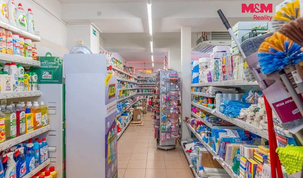 Prodej obchodních prostor 340 m², Bavorov – náhled fotky 14