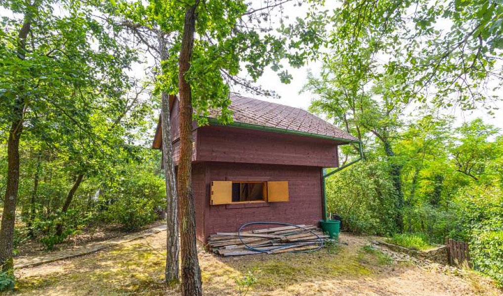 Prodej chaty/chalupy 43 m² s pozemkem 70 m², Davle – náhled fotky 15