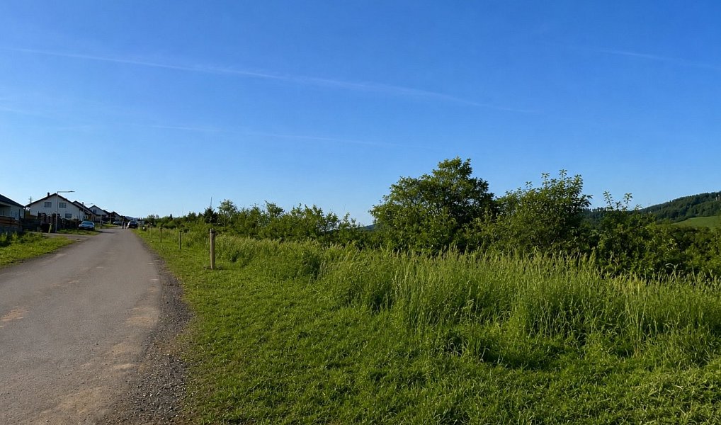 Prodej stavebního pozemku 13 500 m², Vranová – náhled fotky 5
