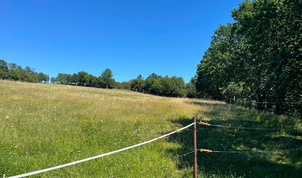 Prodej pozemku 6 229 m², Bojanovice – náhled fotky 7