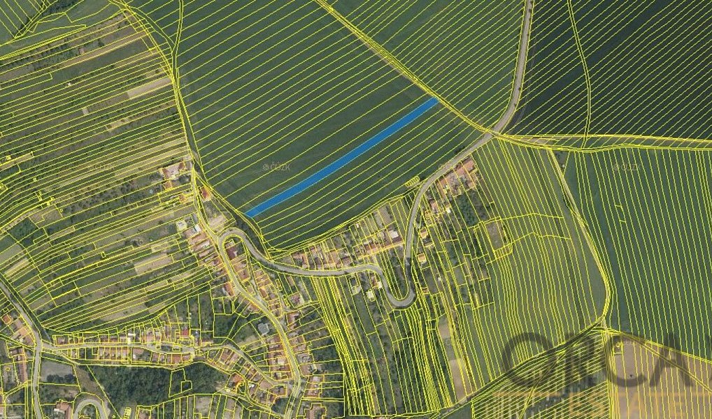 Prodej pole 4 176 m², Kobeřice u Brna – náhled fotky 2