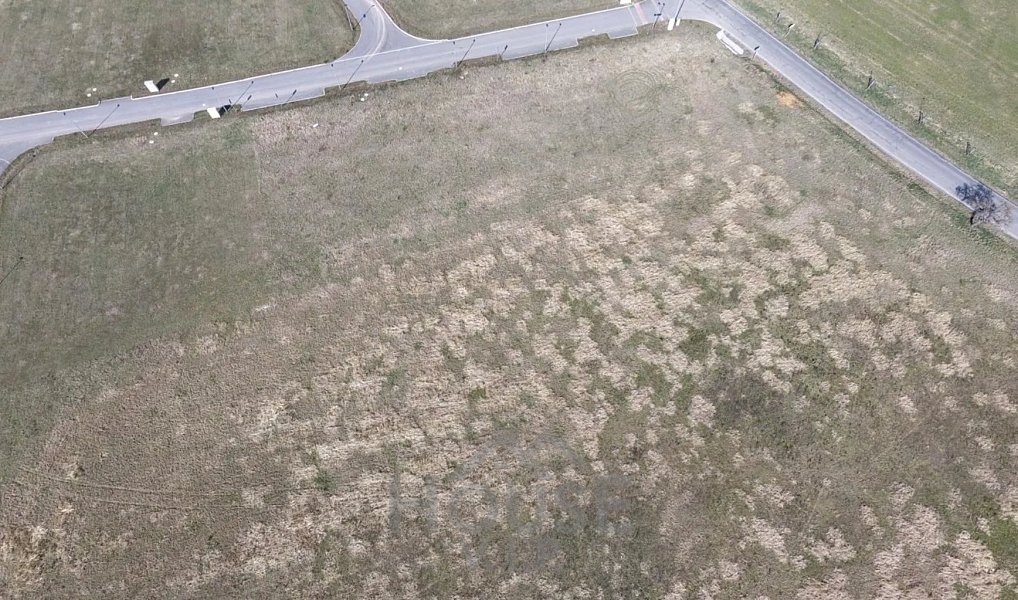 Prodej stavebního pozemku 15 939 m², Praha – náhled fotky 3