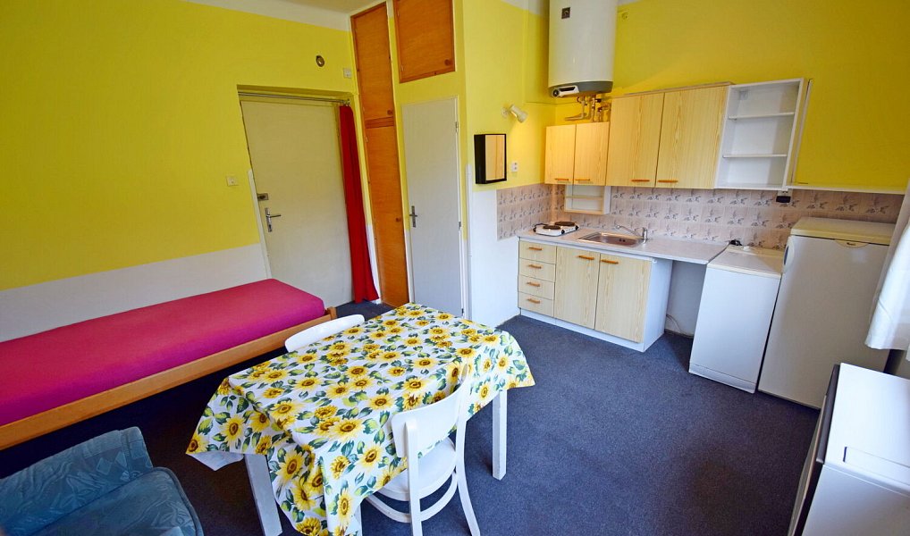 Pronájem bytu 1+kk 20 m², Praha – náhled fotky 9