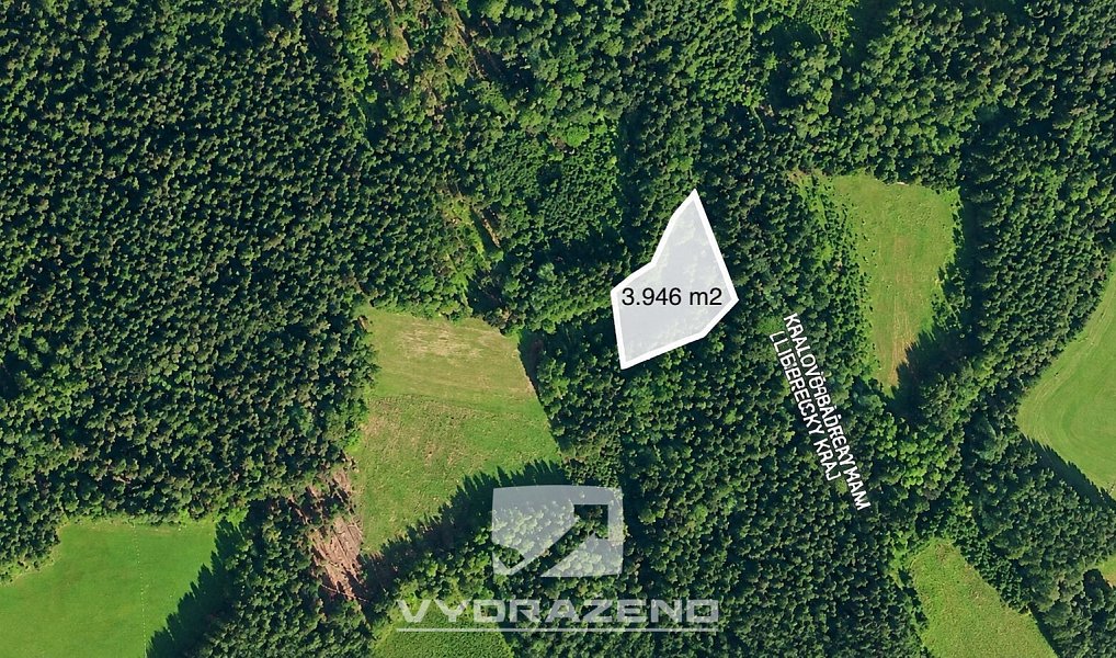 Prodej louky 3 946 m², Levínská Olešnice – náhled fotky 3