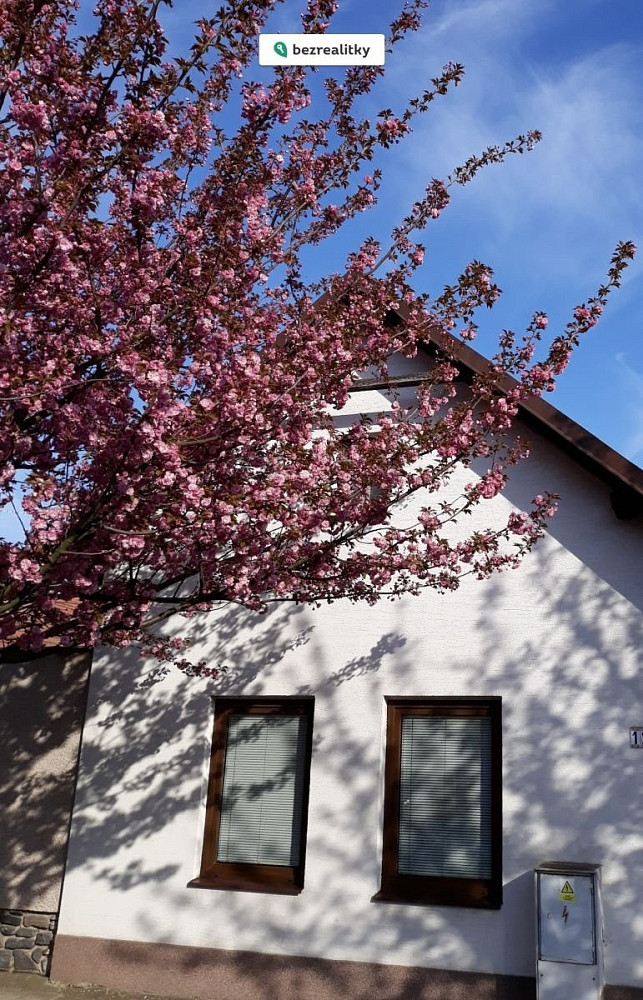 Prodej domu 145 m² s pozemkem 1 679 m² — photo 4