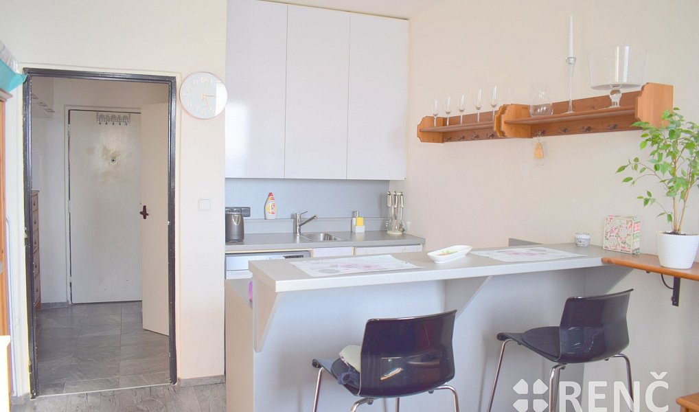 Prodej bytu 1+kk 23 m², Brno – náhled fotky 3