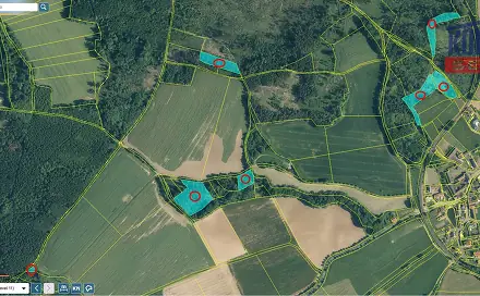 Prodej lesa 24 210 m², Spáňov, okres Domažlice