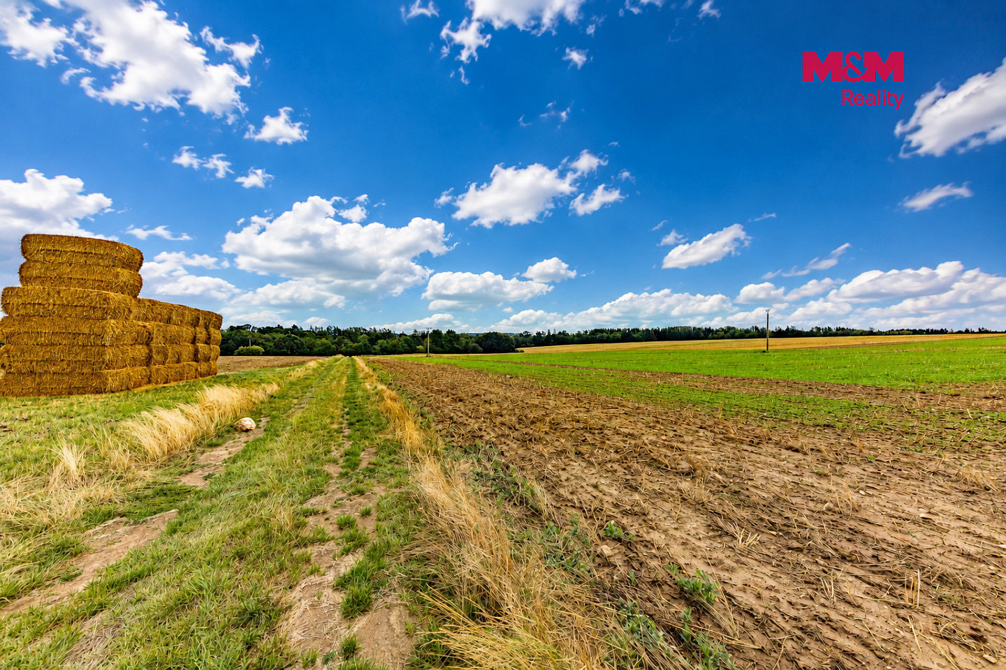 Prodej pole 9 154 m² – fotografie 3