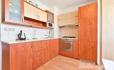 Pronájem bytu 1+1 45 m²