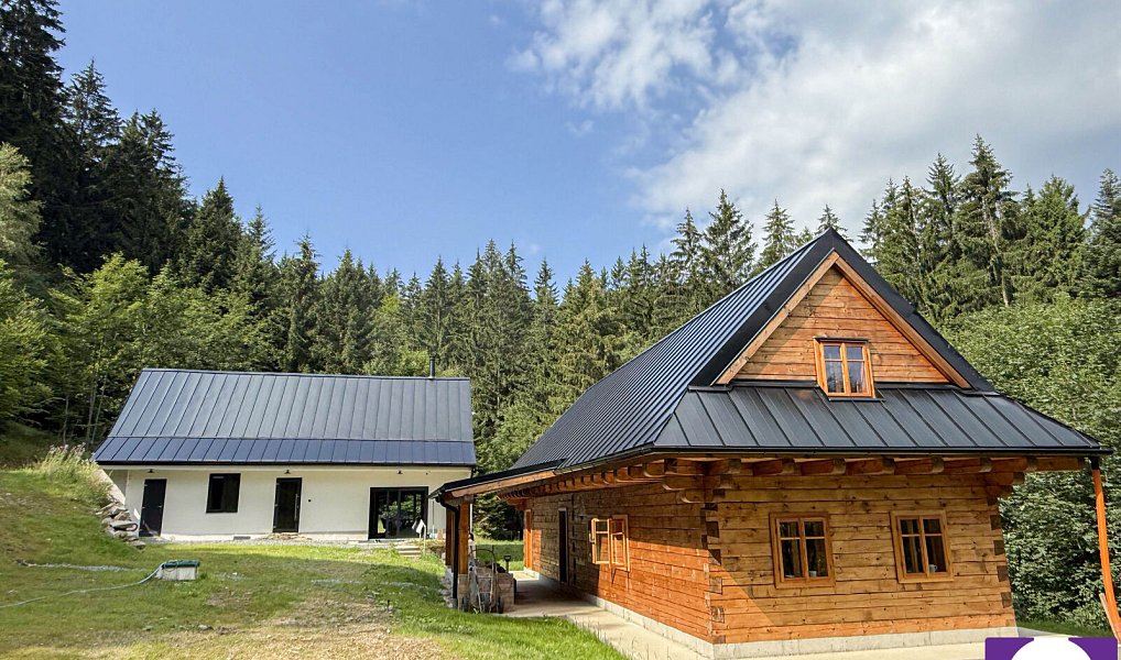 Prodej chaty/chalupy 291 m² s pozemkem 4 432 m², Hutisko-Solanec – fotka 1 z 21