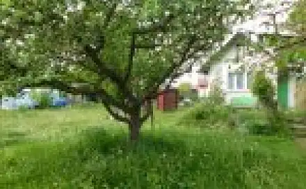 Pronájem chaty/chalupy 16 m² s pozemkem 370 m², Ovocná, Poděbrady, okres Nymburk