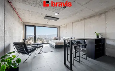 Pronájem bytu 1+kk 28 m², Královopolská, Brno - Žabovřesky