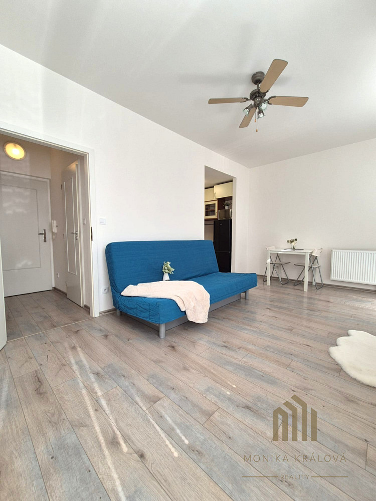 Pronájem bytu 1+kk 26 m² — photo 3