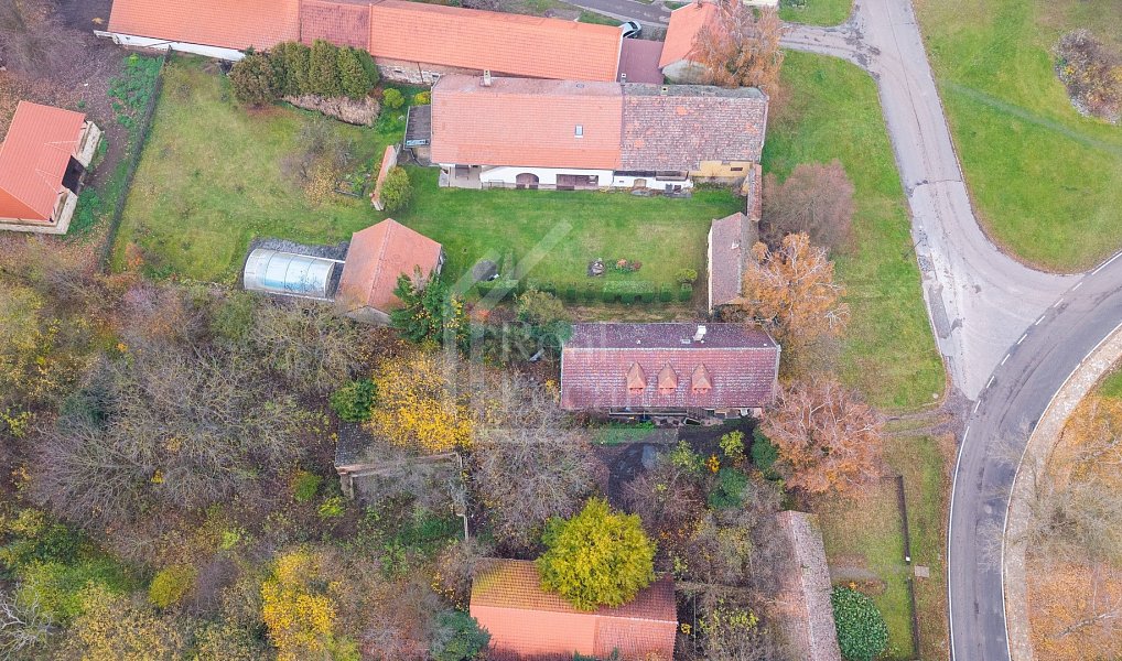 Prodej pozemku 161 602 m², Třebíz – náhled fotky 7