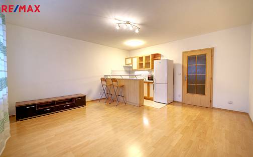 Pronájem bytu 1+kk 34 m², Plzenecká, Plzeň - Východní Předměstí