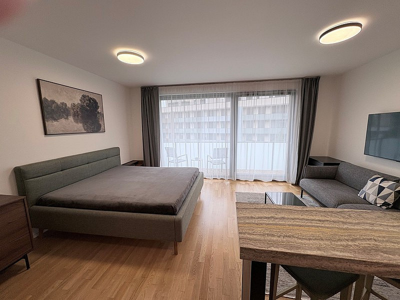 Pronájem bytu 1+kk 45 m² – fotografie 3