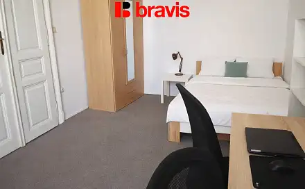 Pronájem pokoje 28 m², Gorkého, Brno - Veveří