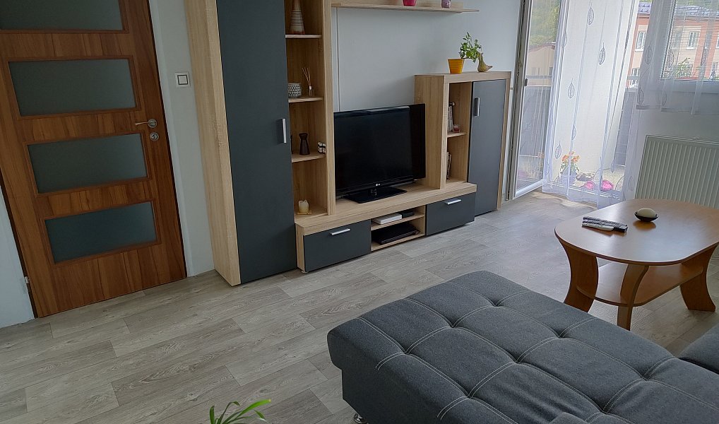 Pronájem bytu 3+1 67 m², Planá – náhled fotky 17