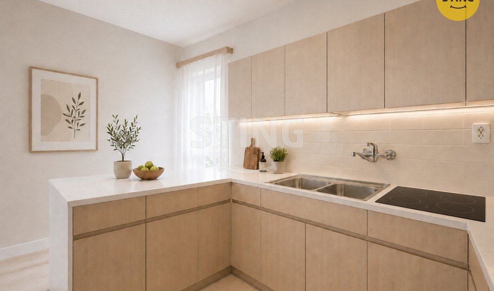 Prodej domu 360 m² s pozemkem 3 443 m², Strážnice – náhled fotky 18