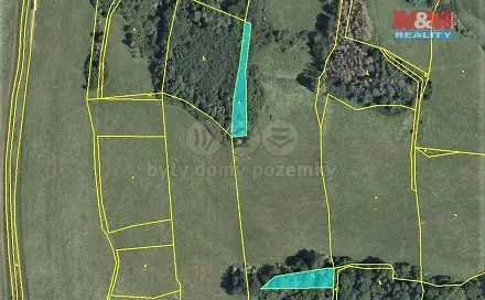 Prodej lesa 725 m², Velká Bukovina, okres Děčín