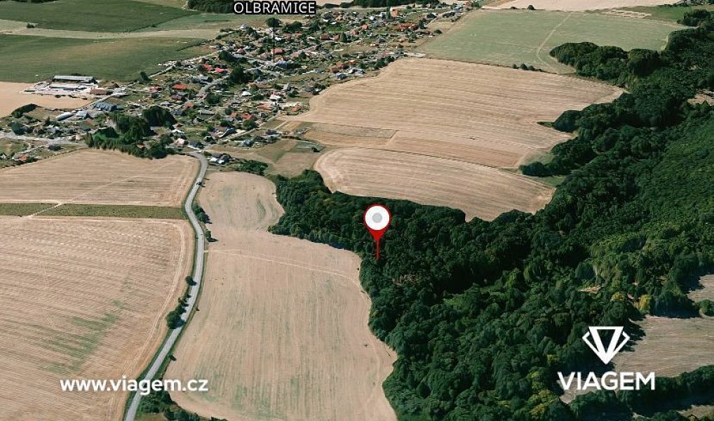 Prodej lesa 2 180 m², Olbramice – náhled fotky 2