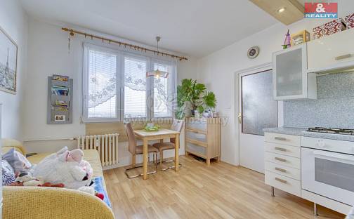 Pronájem bytu 1+1 36 m², Elišky Krásnohorské, Plzeň - Severní Předměstí