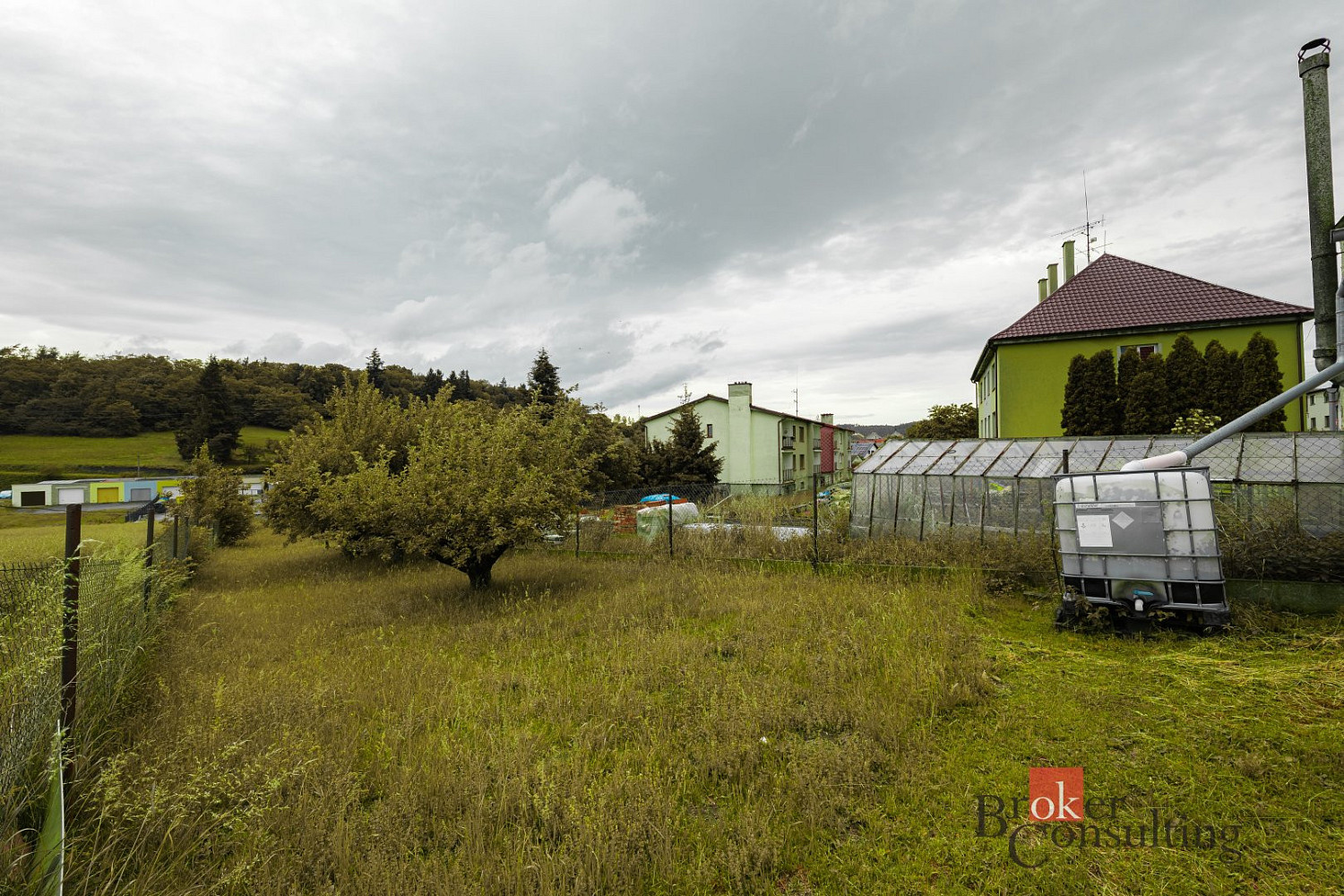Fotka 11 z 19