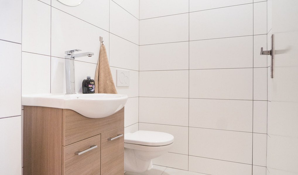 Prodej obchodních prostor 300 m², Drásov – náhled fotky 19