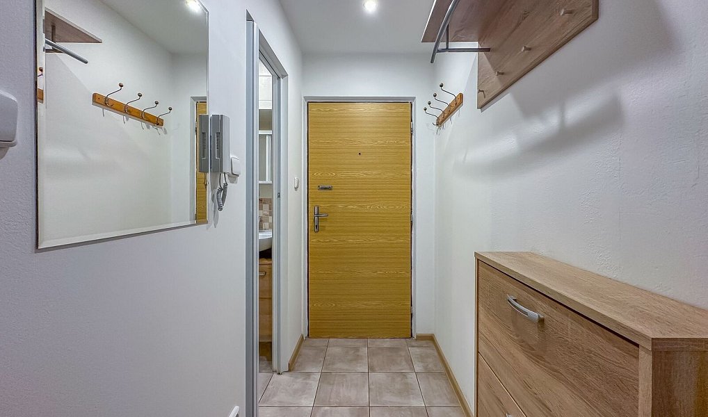 Pronájem bytu 1+kk 27 m², Horní Bříza – náhled fotky 4