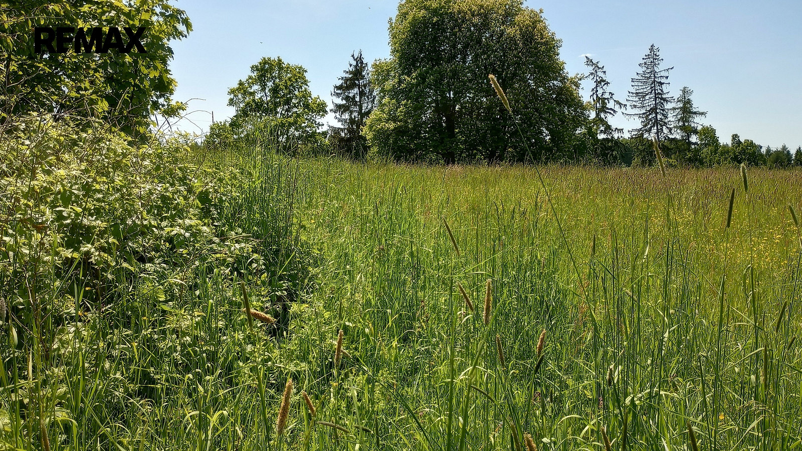 Prodej stavebního pozemku 4 273 m² – fotografie 3
