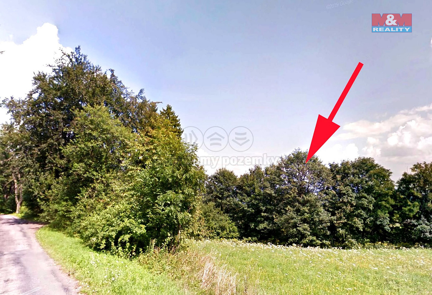 Prodej louky 7 064 m² – fotografie 2